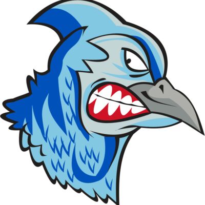 BLUEJAY HD0503 RQC Thumbnail