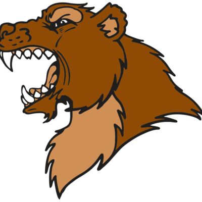 AR BEAR 22 RC Thumbnail